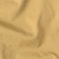 12 - Beige
